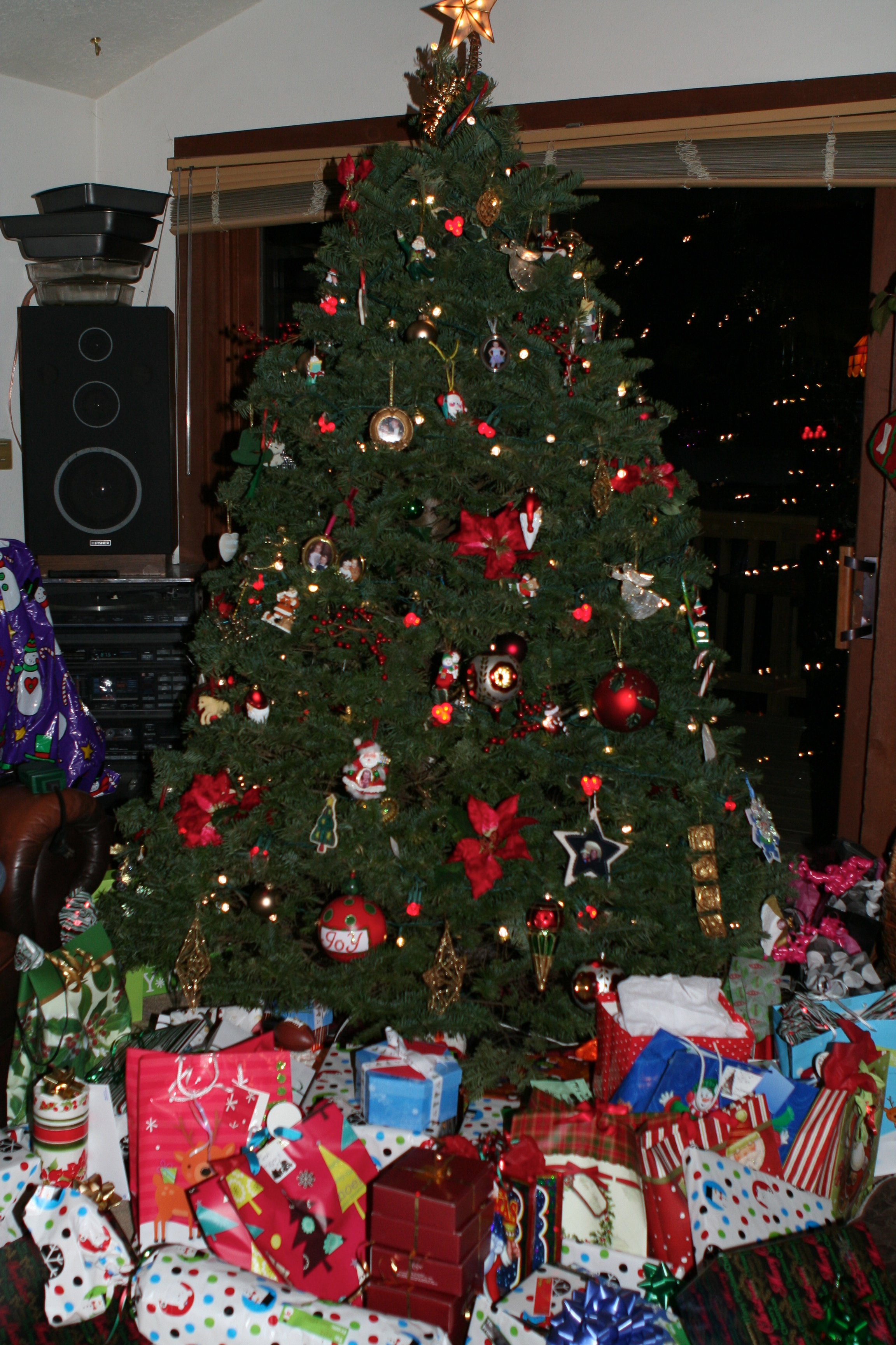 2010-12-24-081 Christmas in Colorado.jpg
